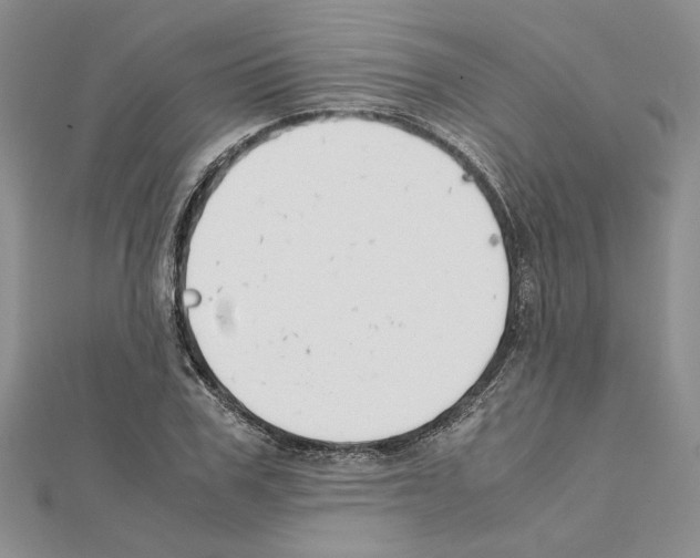 X0000111630979200908281131