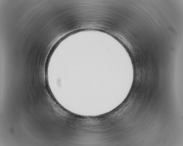X0000111630980200908281131