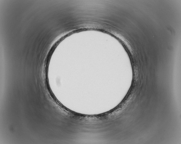 X0000111630983200908281131
