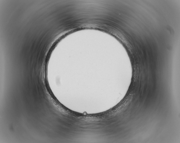 X0000111630984200908281131