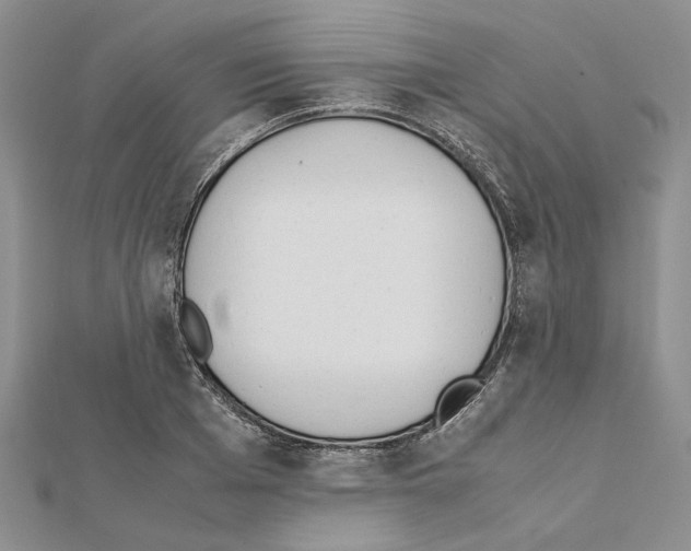 X0000111630985200908281131