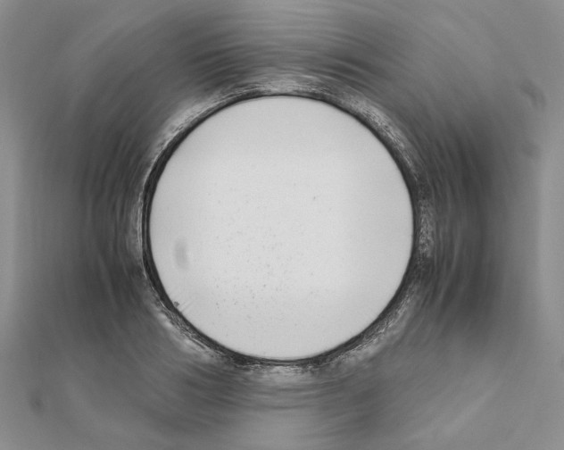 X0000111630986200908281131