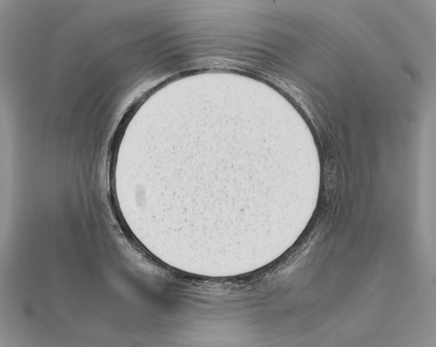 X0000111630987200908281131