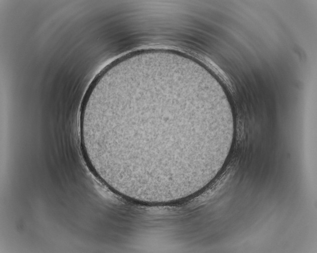 X0000111630988200908281130