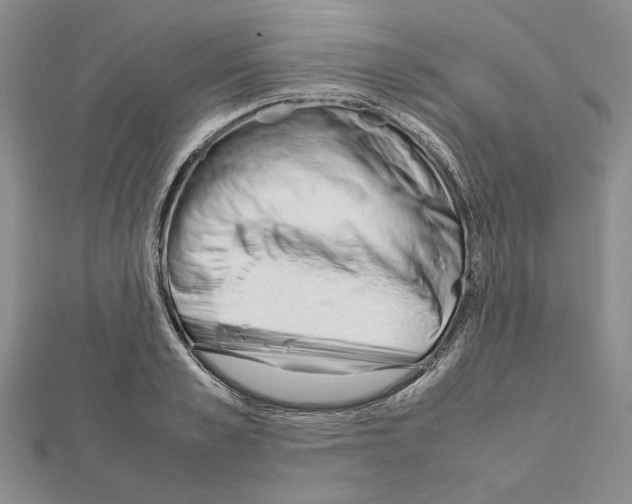 X0000111630989200908281130