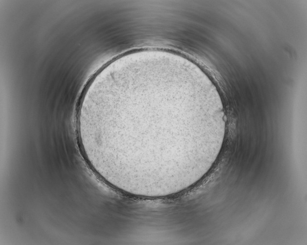 X0000111630990200908281130