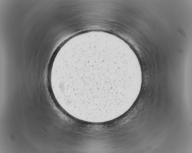 X0000111630991200908281130