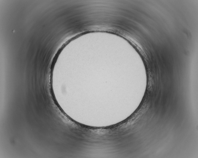 X0000111630992200908281130