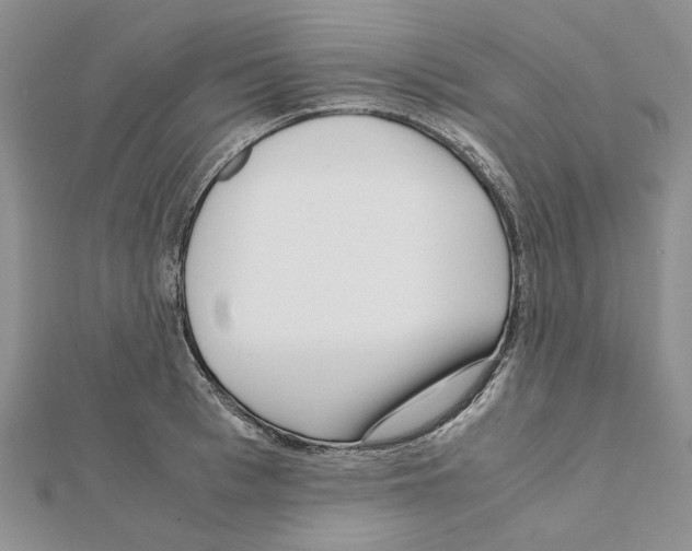 X0000111630993200908281130