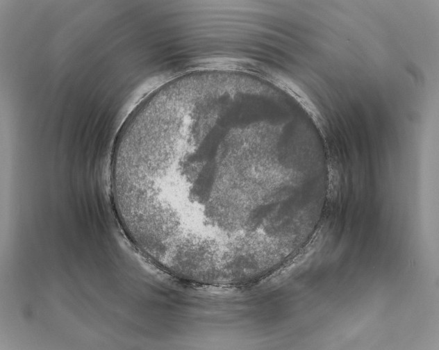 X0000111630994200908281130