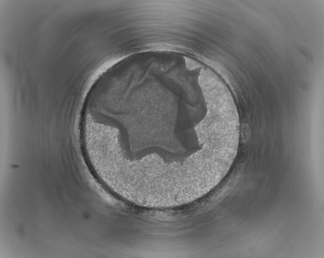 X0000111630995200908281130
