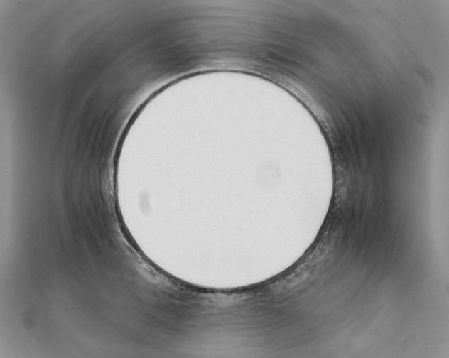 X0000111630996200908281130