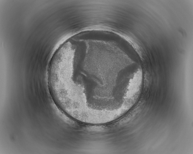 X0000111630998200908281130