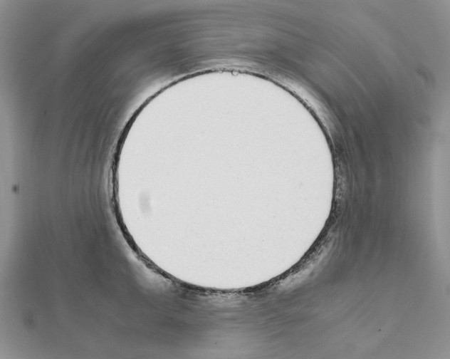 X0000111630999200908281130