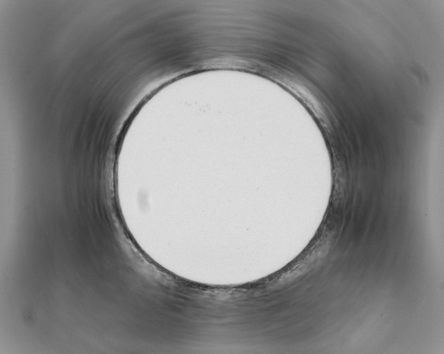 X0000111631000200908281130