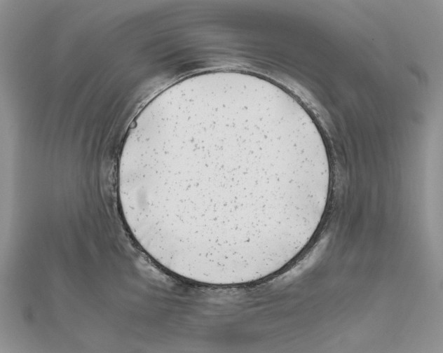 X0000111631001200908281130