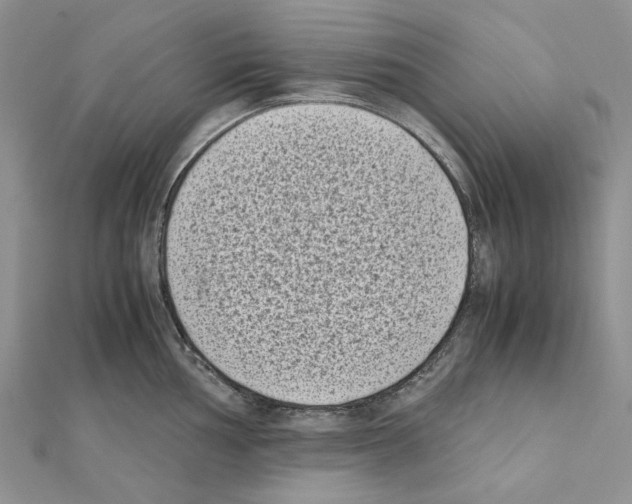 X0000111631002200908281130