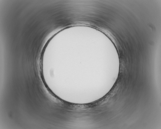 X0000111631003200908281130