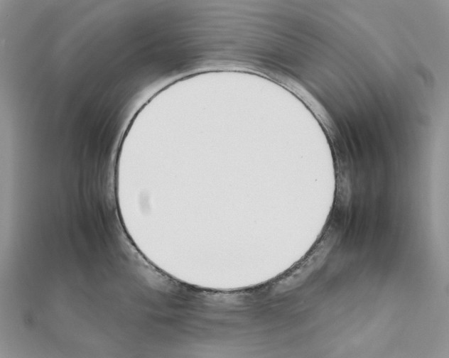 X0000111631004200908281130