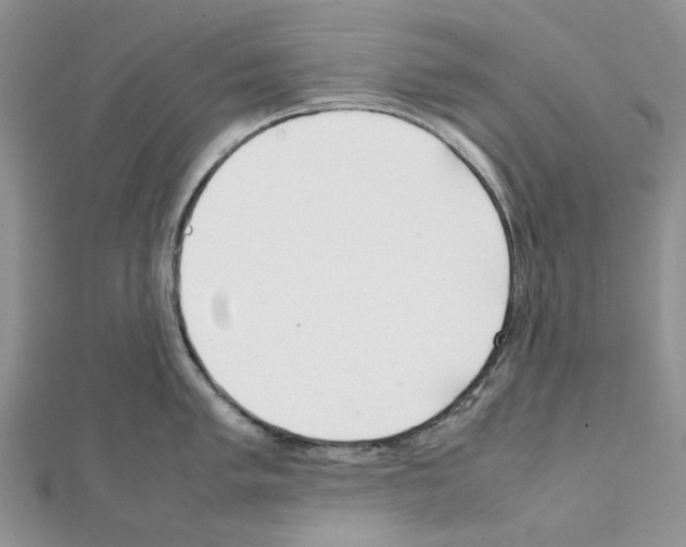X0000111631005200908281130