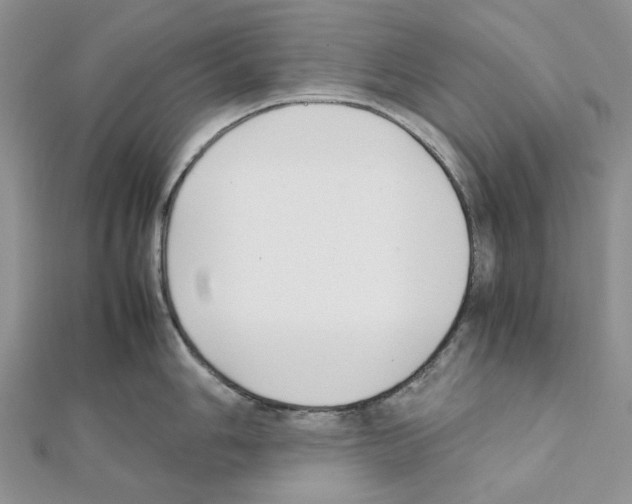 X0000111631006200908281130