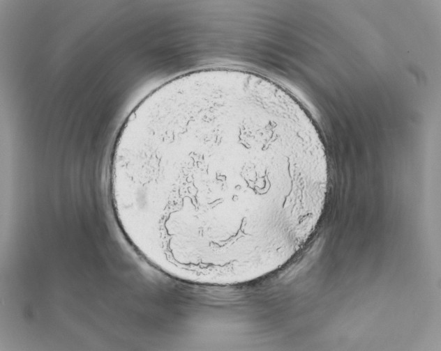 X0000111631007200908281130