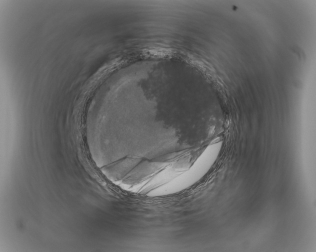X0000111631009200908281129