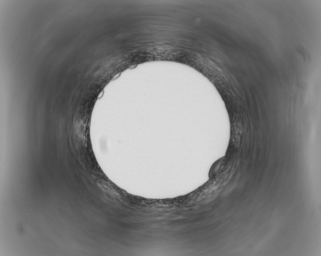 X0000111631010200908281129