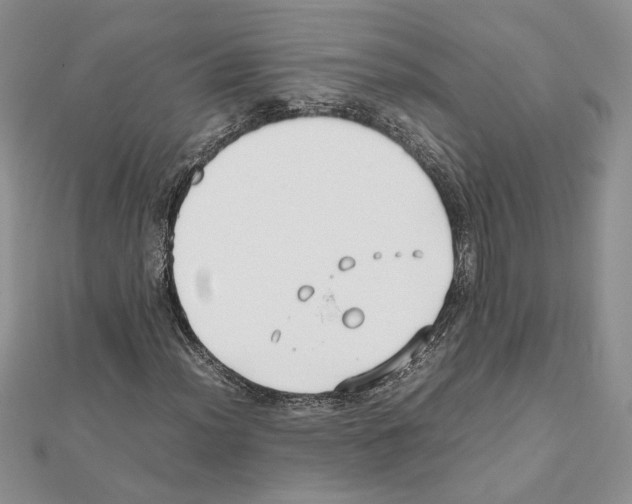 X0000111631012200908281129