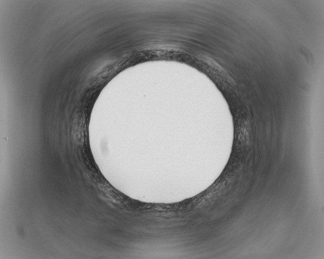 X0000111631014200908281129