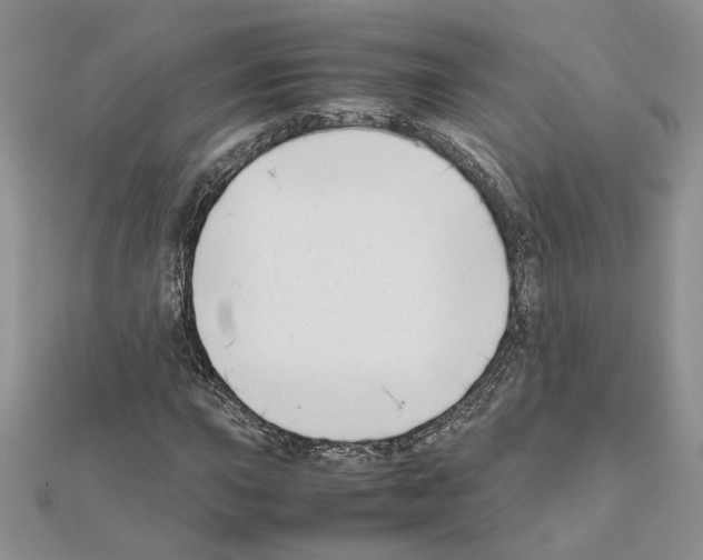 X0000111631015200908281129