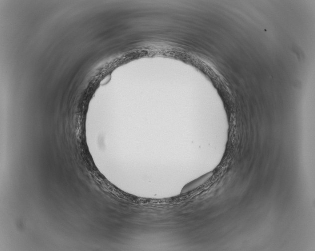 X0000111631016200908281129