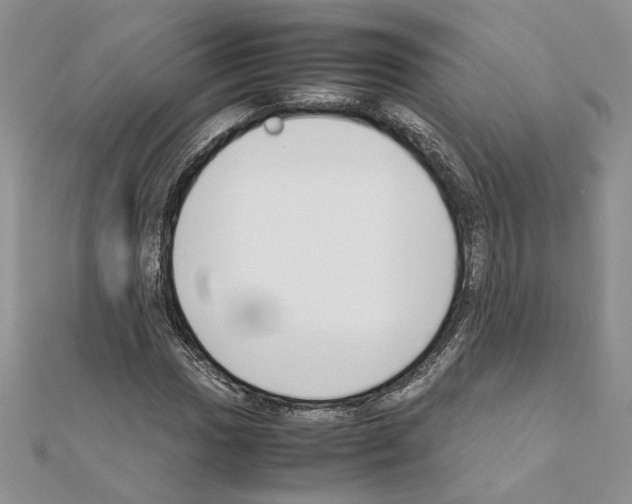X0000111631017200908281129