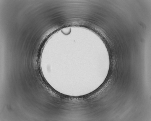 X0000111631018200908281129