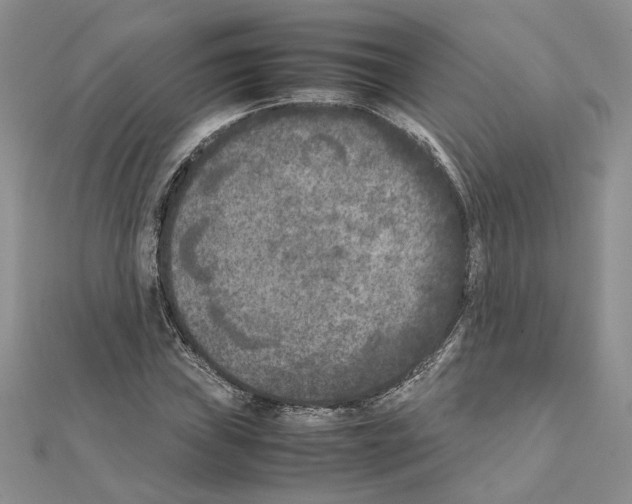 X0000111631019200908281129