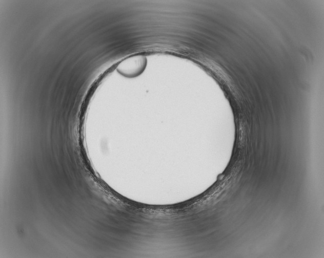 X0000111631020200908281129