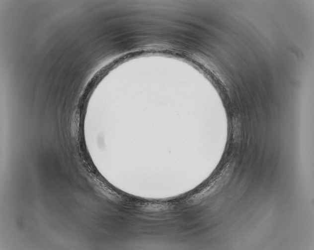 X0000111631021200908281129