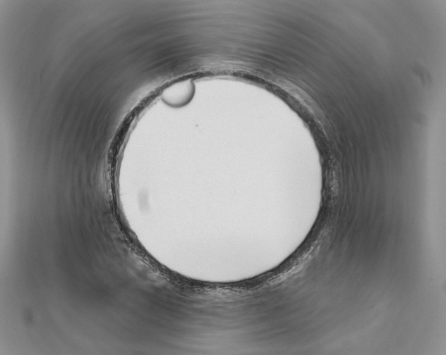X0000111631022200908281129