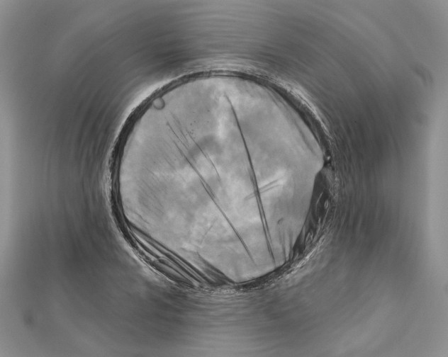X0000111631024200908281130