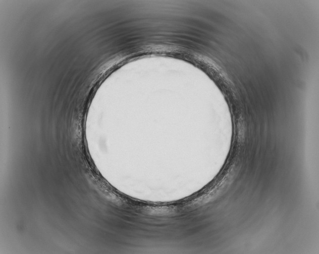 X0000111631025200908281130