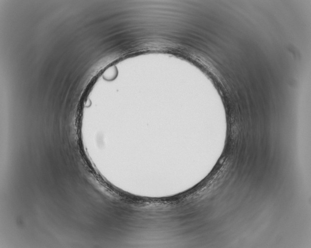 X0000111631026200908281130