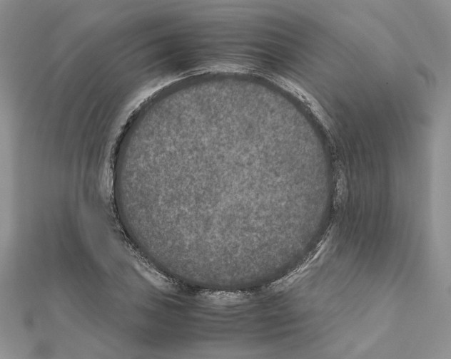 X0000111631027200908281130