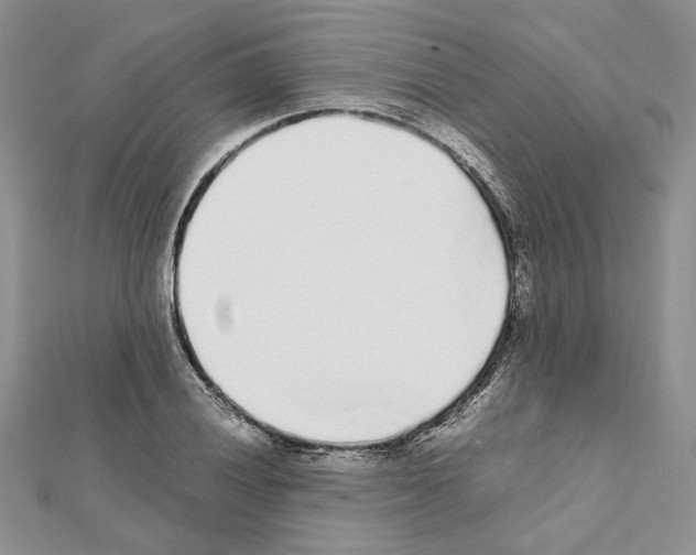 X0000111631028200908281130
