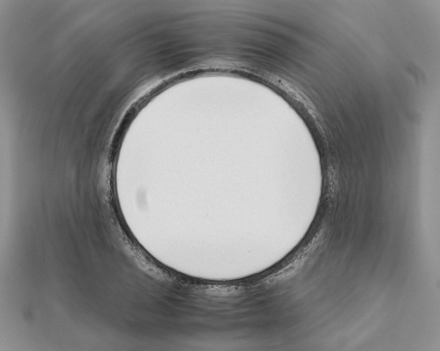 X0000111631029200908281130