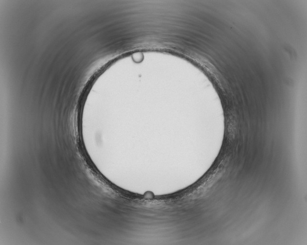 X0000111631030200908281130