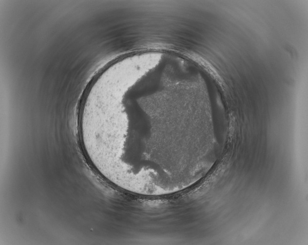 X0000111631031200908281130