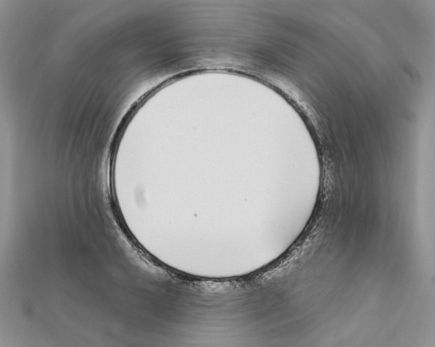 X0000111631032200908281130