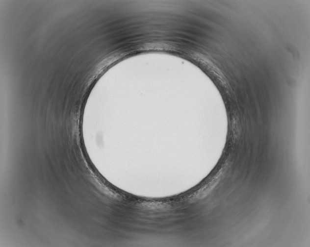 X0000111631033200908281130