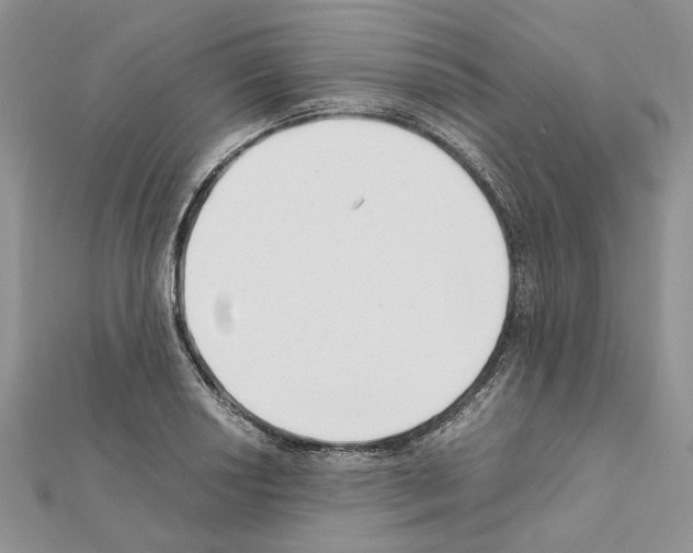 X0000111631034200908281130