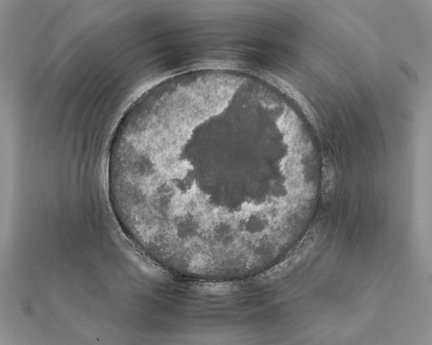 X0000111631035200908281130
